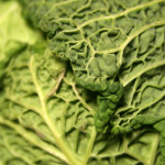leaf green vegetable